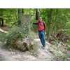 Bild Michael S.